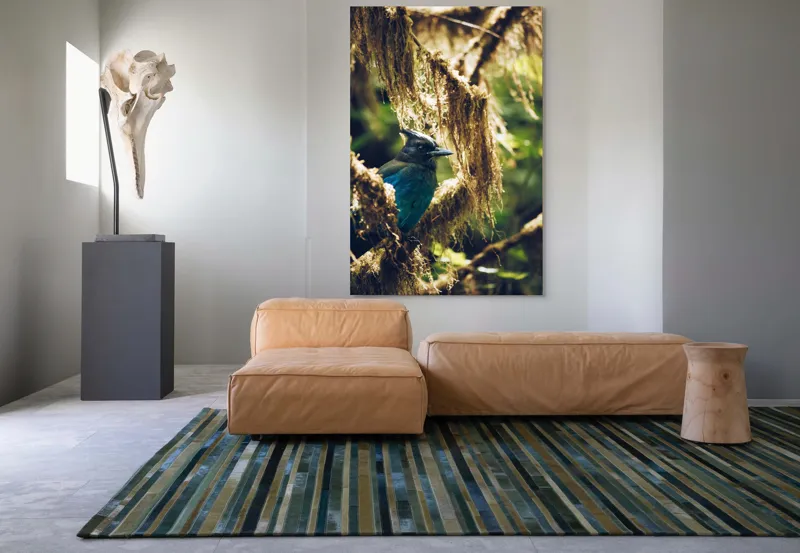 Tablou Canvas, "Pasărea enigmatică în pădurea de mușchi.", Păsăre, Pene, Albastru, Copac, Mușchi, Natură, Lumină, Umbre, Habitat, Frunziș, 100 x 150 cm – poza 7
