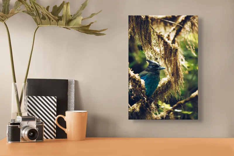 Tablou Canvas, "Pasărea enigmatică în pădurea de mușchi.", Păsăre, Pene, Albastru, Copac, Mușchi, Natură, Lumină, Umbre, Habitat, Frunziș, 26 x 39 cm – poza 3