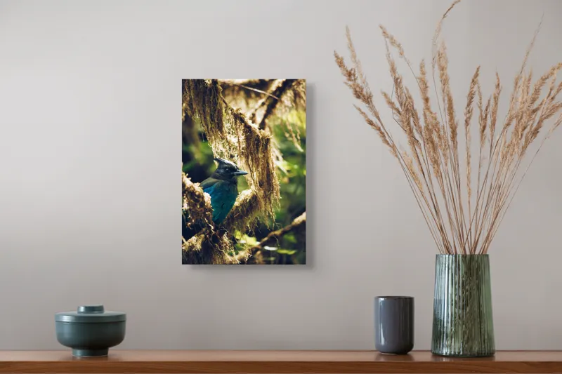 Tablou Canvas, "Pasărea enigmatică în pădurea de mușchi.", Păsăre, Pene, Albastru, Copac, Mușchi, Natură, Lumină, Umbre, Habitat, Frunziș, 26 x 39 cm – poza 5