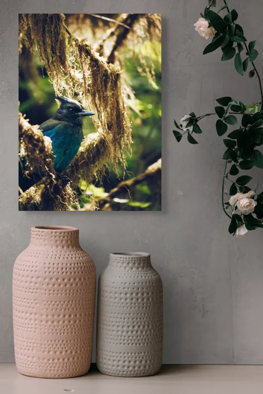 Tablou Canvas, "Pasărea enigmatică în pădurea de mușchi.", Păsăre, Pene, Albastru, Copac, Mușchi, Natură, Lumină, Umbre, Habitat, Frunziș, 39 x 54 cm – poza 6
