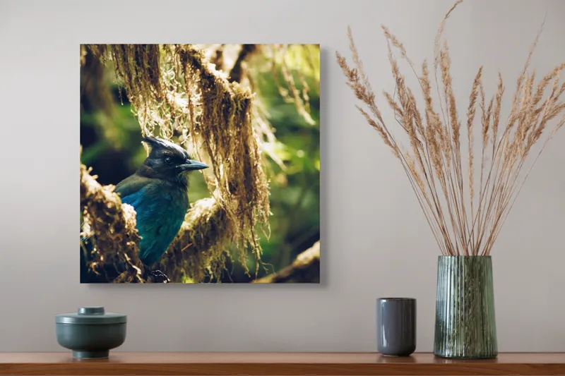 Tablou Canvas, "Pasărea enigmatică în pădurea de mușchi.", Păsăre, Pene, Albastru, Copac, Mușchi, Natură, Lumină, Umbre, Habitat, Frunziș, 50 x 50 cm – poza 4