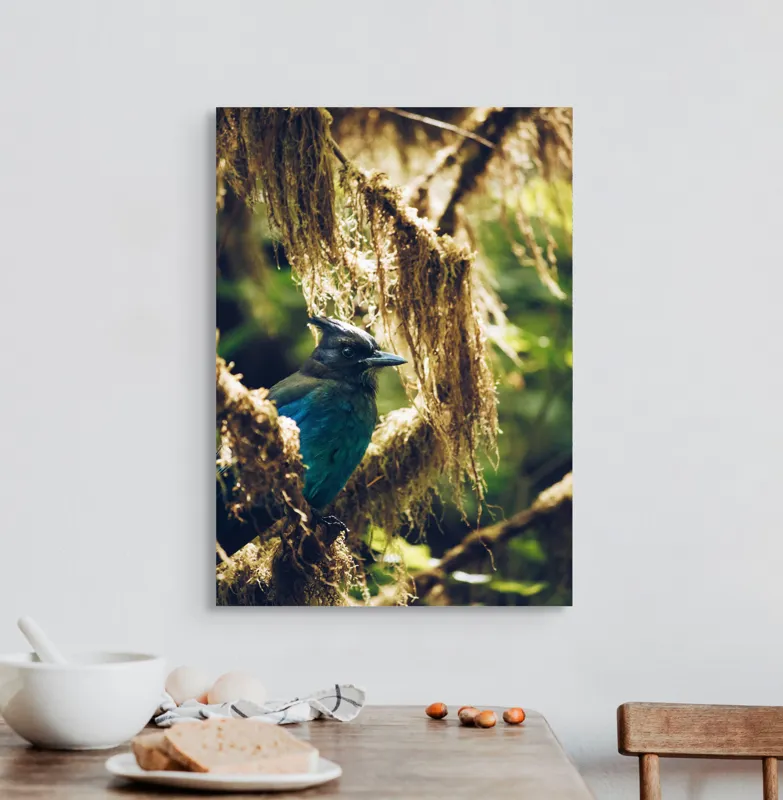 Tablou Canvas, "Pasărea enigmatică în pădurea de mușchi.", Păsăre, Pene, Albastru, Copac, Mușchi, Natură, Lumină, Umbre, Habitat, Frunziș, 50 x 70 cm – poza 3