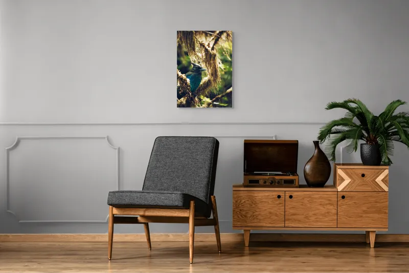 Tablou Canvas, "Pasărea enigmatică în pădurea de mușchi.", Păsăre, Pene, Albastru, Copac, Mușchi, Natură, Lumină, Umbre, Habitat, Frunziș, 50 x 70 cm – poza 8