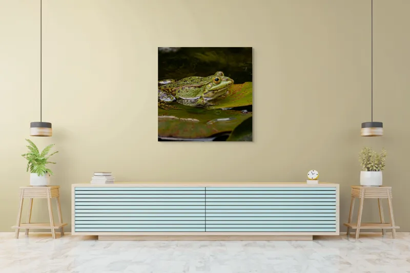 Tablou Canvas, "Broasca odihnindu-se pe o frunză", Broască, Apă, Frunză, Ochi, Natură, Verde, Reflecție, Piele, Habitat, Calm., 100 x 100 cm – poza 5