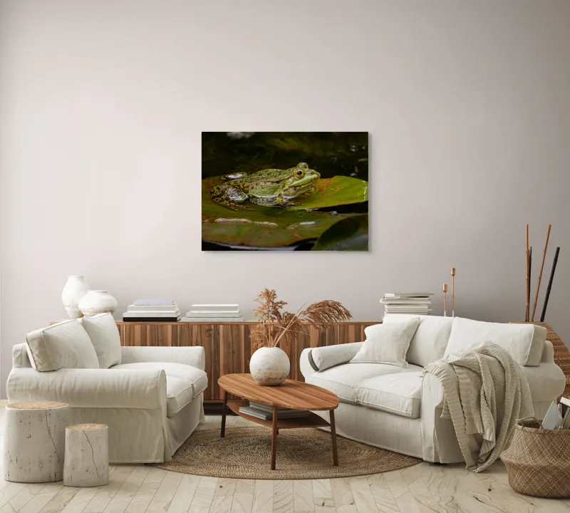 Tablou Canvas, "Broasca odihnindu-se pe o frunză", Broască, Apă, Frunză, Ochi, Natură, Verde, Reflecție, Piele, Habitat, Calm., 100 x 70 cm – poza 3