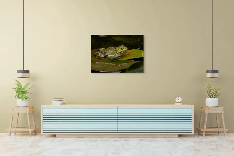 Tablou Canvas, "Broasca odihnindu-se pe o frunză", Broască, Apă, Frunză, Ochi, Natură, Verde, Reflecție, Piele, Habitat, Calm., 100 x 70 cm – poza 4