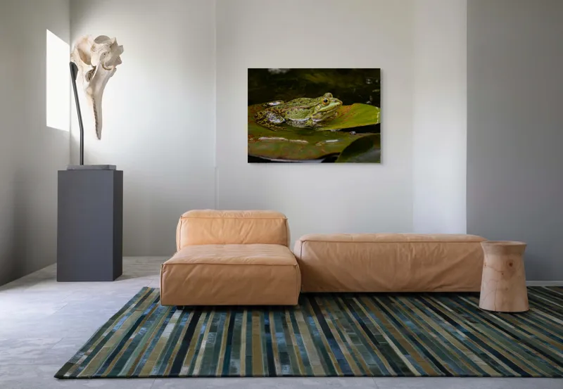 Tablou Canvas, "Broasca odihnindu-se pe o frunză", Broască, Apă, Frunză, Ochi, Natură, Verde, Reflecție, Piele, Habitat, Calm., 100 x 70 cm – poza 7