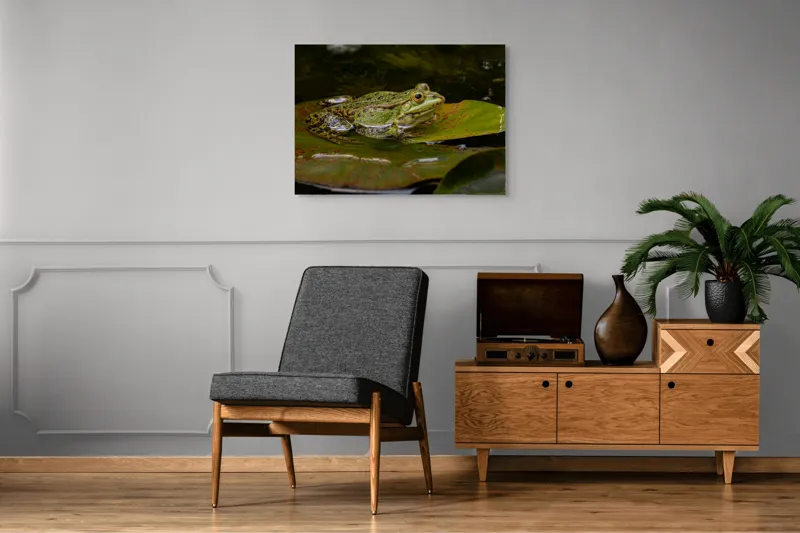 Tablou Canvas, "Broasca odihnindu-se pe o frunză", Broască, Apă, Frunză, Ochi, Natură, Verde, Reflecție, Piele, Habitat, Calm., 100 x 70 cm – poza 8