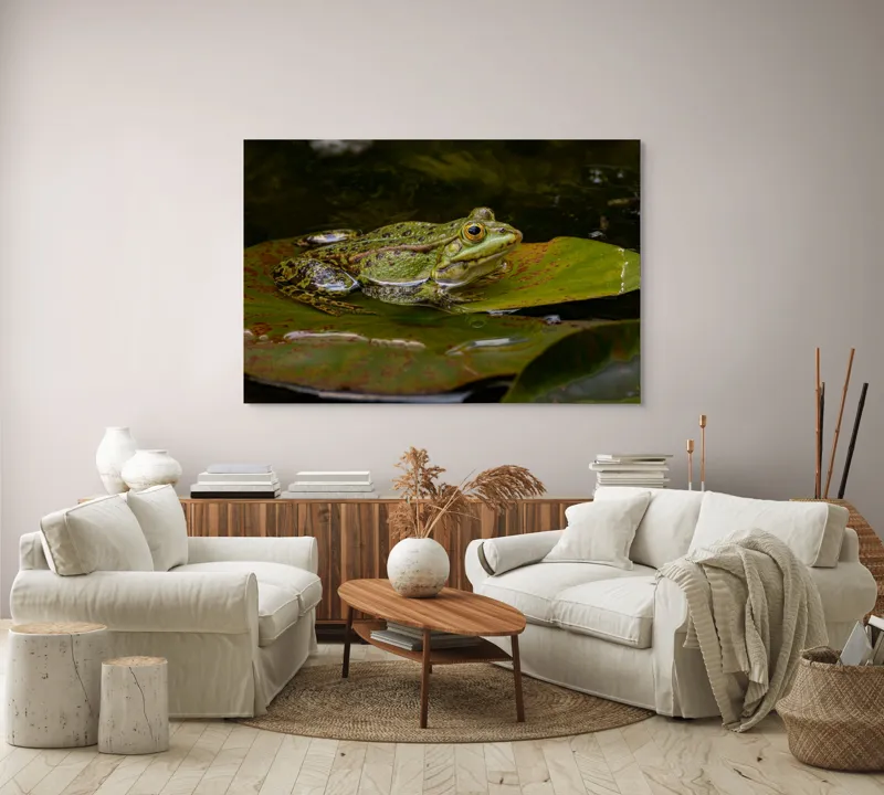 Tablou Canvas, "Broasca odihnindu-se pe o frunză", Broască, Apă, Frunză, Ochi, Natură, Verde, Reflecție, Piele, Habitat, Calm., 150 x 100 cm – poza 3