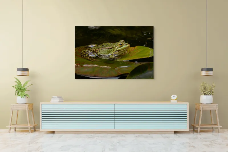 Tablou Canvas, "Broasca odihnindu-se pe o frunză", Broască, Apă, Frunză, Ochi, Natură, Verde, Reflecție, Piele, Habitat, Calm., 150 x 100 cm – poza 6