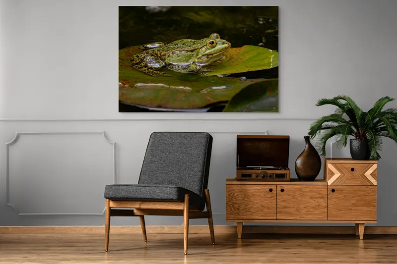 Tablou Canvas, "Broasca odihnindu-se pe o frunză", Broască, Apă, Frunză, Ochi, Natură, Verde, Reflecție, Piele, Habitat, Calm., 150 x 100 cm – poza 8