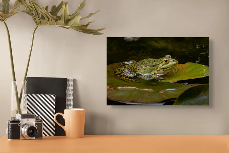 Tablou Canvas, "Broasca odihnindu-se pe o frunză", Broască, Apă, Frunză, Ochi, Natură, Verde, Reflecție, Piele, Habitat, Calm., 39 x 26 cm – poza 3