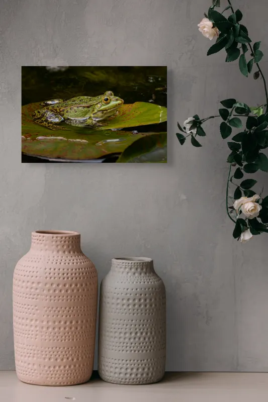Tablou Canvas, "Broasca odihnindu-se pe o frunză", Broască, Apă, Frunză, Ochi, Natură, Verde, Reflecție, Piele, Habitat, Calm., 39 x 26 cm – poza 4