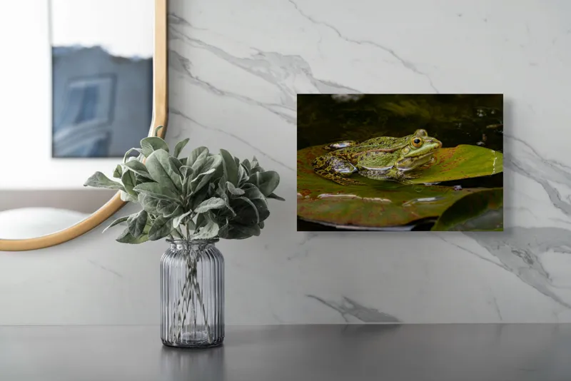 Tablou Canvas, "Broasca odihnindu-se pe o frunză", Broască, Apă, Frunză, Ochi, Natură, Verde, Reflecție, Piele, Habitat, Calm., 39 x 26 cm – poza 5