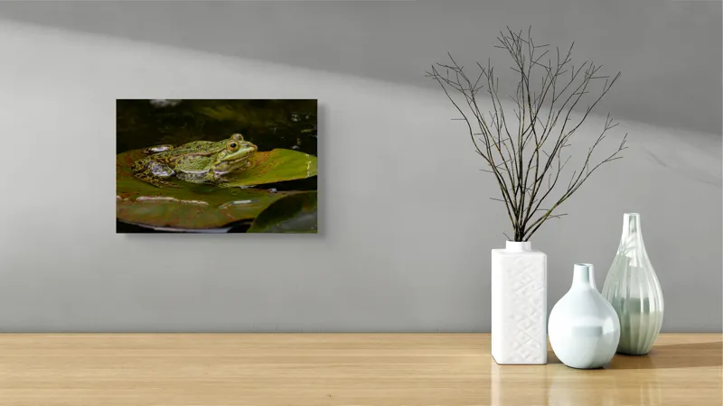 Tablou Canvas, "Broasca odihnindu-se pe o frunză", Broască, Apă, Frunză, Ochi, Natură, Verde, Reflecție, Piele, Habitat, Calm., 39 x 26 cm – poza 8