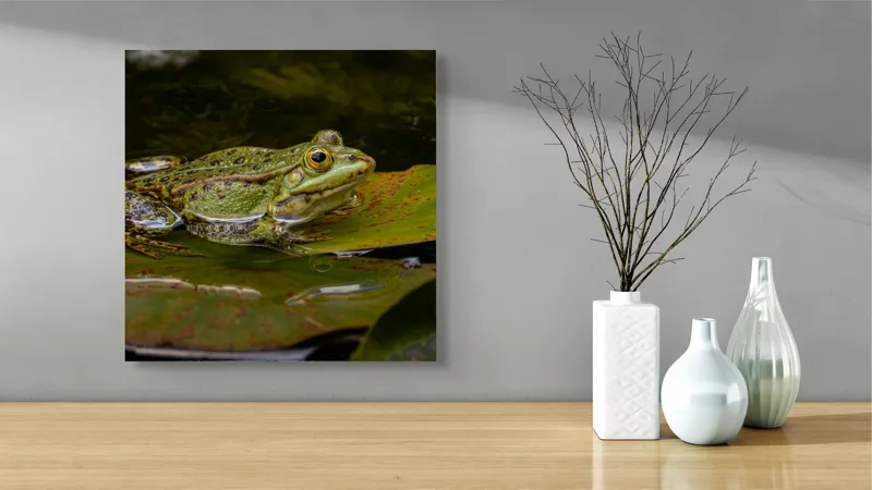 Tablou Canvas, "Broasca odihnindu-se pe o frunză", Broască, Apă, Frunză, Ochi, Natură, Verde, Reflecție, Piele, Habitat, Calm., 50 x 50 cm – poza 3