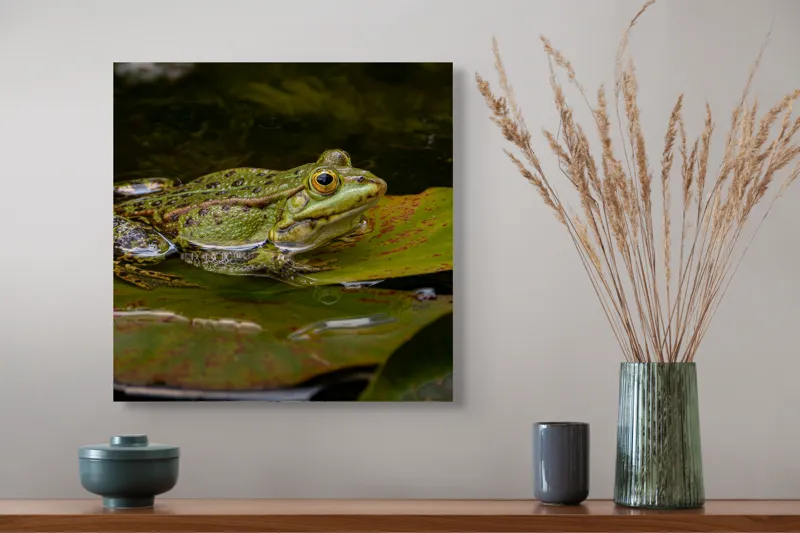 Tablou Canvas, "Broasca odihnindu-se pe o frunză", Broască, Apă, Frunză, Ochi, Natură, Verde, Reflecție, Piele, Habitat, Calm., 50 x 50 cm – poza 4