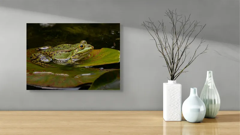 Tablou Canvas, "Broasca odihnindu-se pe o frunză", Broască, Apă, Frunză, Ochi, Natură, Verde, Reflecție, Piele, Habitat, Calm., 54 x 39 cm – poza 3