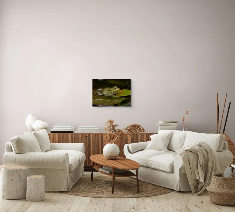 Tablou Canvas, "Broasca odihnindu-se pe o frunză", Broască, Apă, Frunză, Ochi, Natură, Verde, Reflecție, Piele, Habitat, Calm., 54 x 39 cm – poza 5