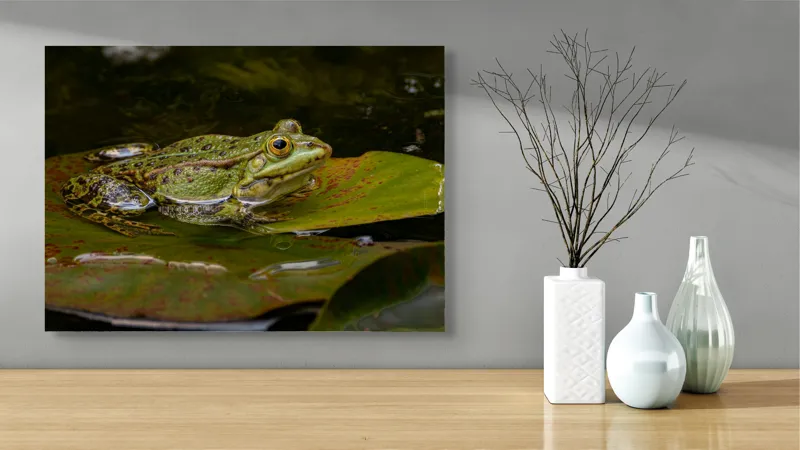 Tablou Canvas, "Broasca odihnindu-se pe o frunză", Broască, Apă, Frunză, Ochi, Natură, Verde, Reflecție, Piele, Habitat, Calm., 70 x 50 cm – poza 3