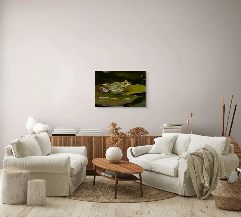 Tablou Canvas, "Broasca odihnindu-se pe o frunză", Broască, Apă, Frunză, Ochi, Natură, Verde, Reflecție, Piele, Habitat, Calm., 70 x 50 cm – poza 6
