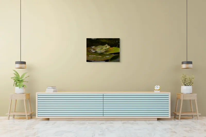 Tablou Canvas, "Broasca odihnindu-se pe o frunză", Broască, Apă, Frunză, Ochi, Natură, Verde, Reflecție, Piele, Habitat, Calm., 70 x 50 cm – poza 7
