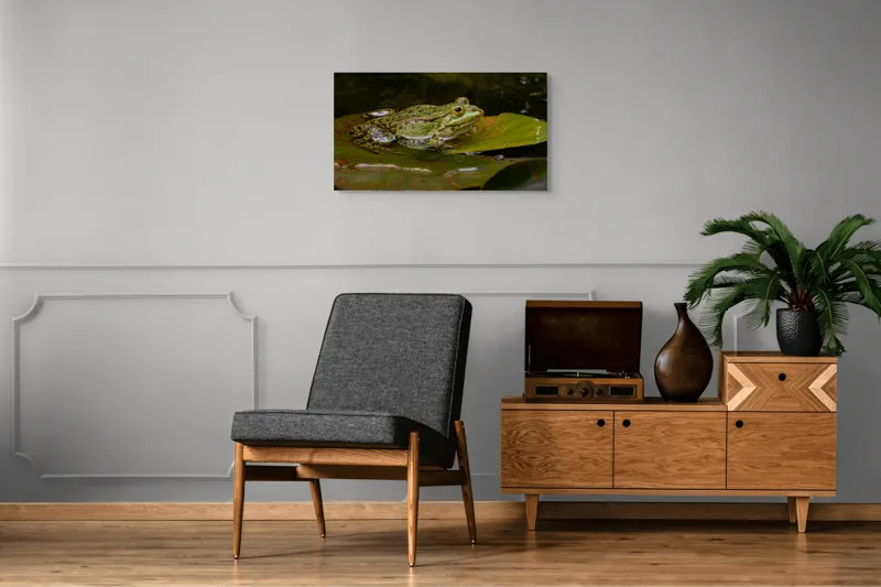 Tablou Canvas, "Broasca odihnindu-se pe o frunză", Broască, Apă, Frunză, Ochi, Natură, Verde, Reflecție, Piele, Habitat, Calm., 90 x 50 cm – poza 6