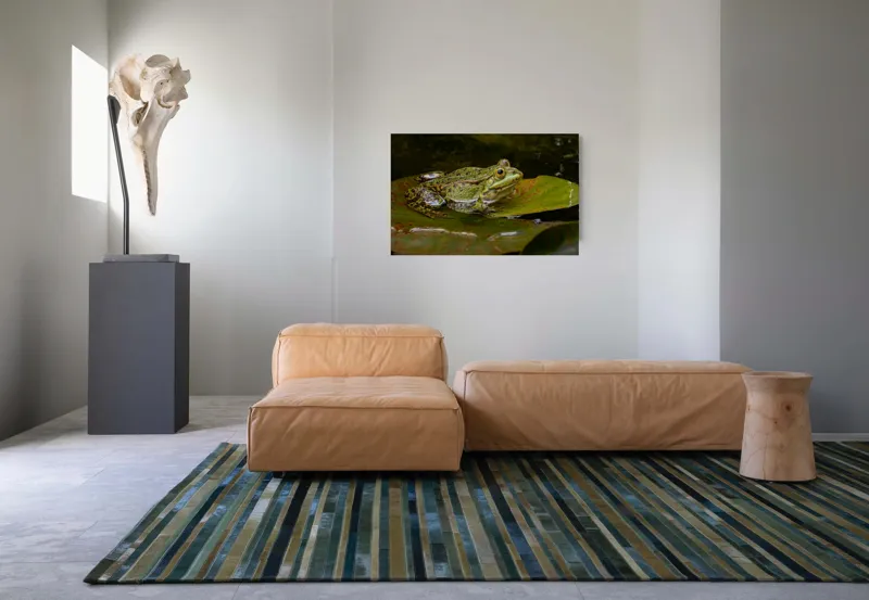 Tablou Canvas, "Broasca odihnindu-se pe o frunză", Broască, Apă, Frunză, Ochi, Natură, Verde, Reflecție, Piele, Habitat, Calm., 90 x 50 cm – poza 8