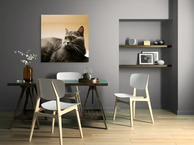 Tablou Canvas, "Pisica gri cu ochi ageri", Pisică, Gri, Privire, Blândă, Relaxată, Obraznică, Blană, Cedelă, Urechi, Ascuțite, 100 x 100 cm – poza 6