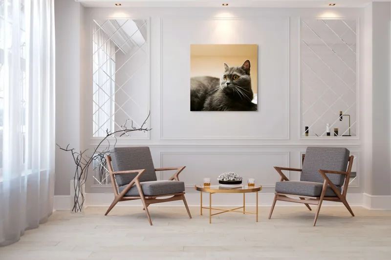 Tablou Canvas, "Pisica gri cu ochi ageri", Pisică, Gri, Privire, Blândă, Relaxată, Obraznică, Blană, Cedelă, Urechi, Ascuțite, 100 x 100 cm – poza 7