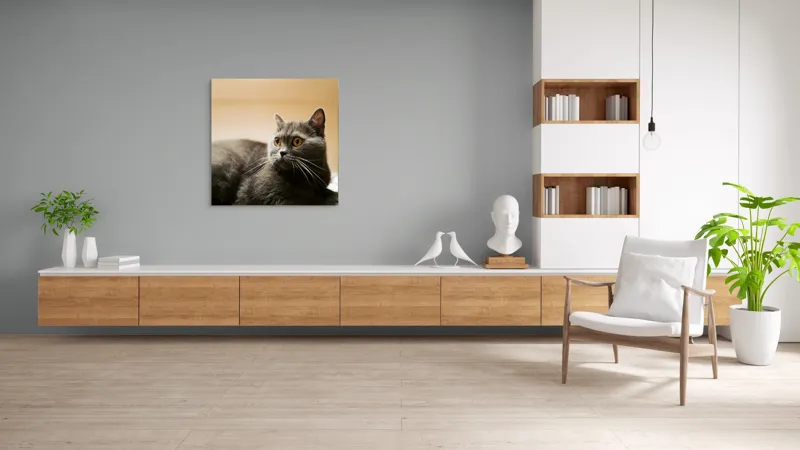 Tablou Canvas, "Pisica gri cu ochi ageri", Pisică, Gri, Privire, Blândă, Relaxată, Obraznică, Blană, Cedelă, Urechi, Ascuțite, 100 x 100 cm – poza 8