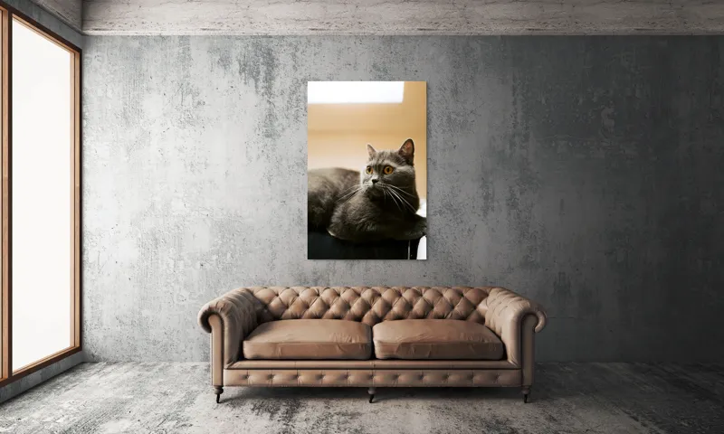 Tablou Canvas, "Pisica gri cu ochi ageri", Pisică, Gri, Privire, Blândă, Relaxată, Obraznică, Blană, Cedelă, Urechi, Ascuțite, 100 x 150 cm – poza 6