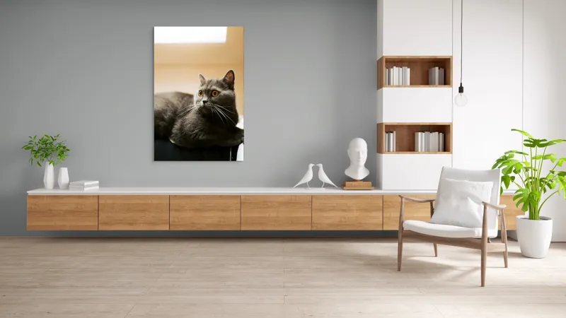 Tablou Canvas, "Pisica gri cu ochi ageri", Pisică, Gri, Privire, Blândă, Relaxată, Obraznică, Blană, Cedelă, Urechi, Ascuțite, 100 x 150 cm – poza 8