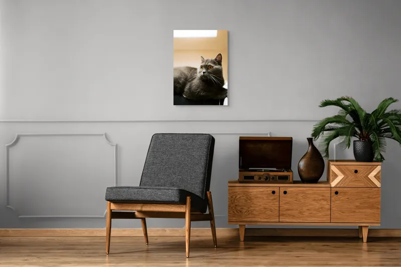 Tablou Canvas, "Pisica gri cu ochi ageri", Pisică, Gri, Privire, Blândă, Relaxată, Obraznică, Blană, Cedelă, Urechi, Ascuțite, 50 x 70 cm – poza 8