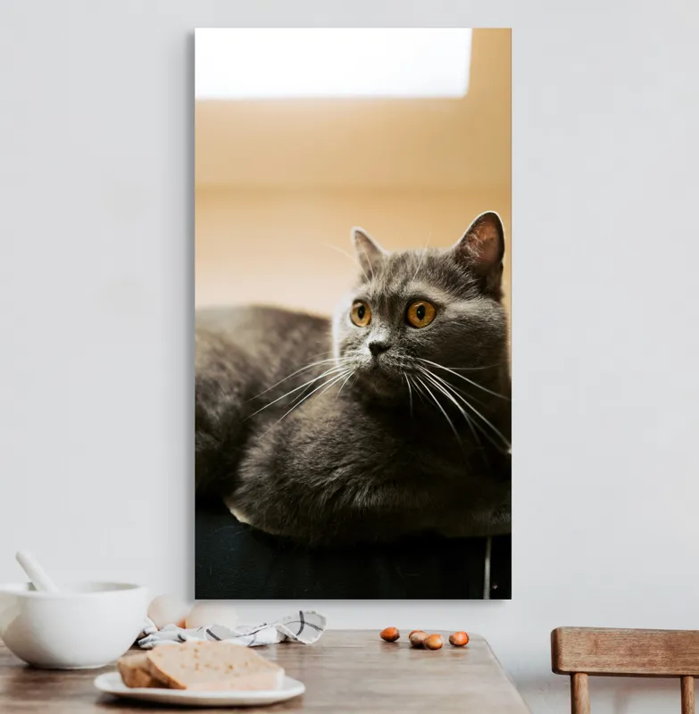 Tablou Canvas, "Pisica gri cu ochi ageri", Pisică, Gri, Privire, Blândă, Relaxată, Obraznică, Blană, Cedelă, Urechi, Ascuțite, 50 x 90 cm – poza 3