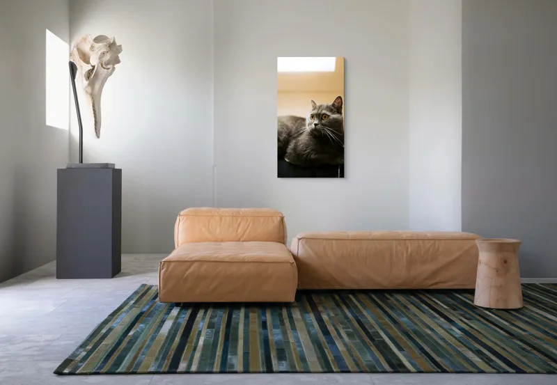 Tablou Canvas, "Pisica gri cu ochi ageri", Pisică, Gri, Privire, Blândă, Relaxată, Obraznică, Blană, Cedelă, Urechi, Ascuțite, 50 x 90 cm – poza 5