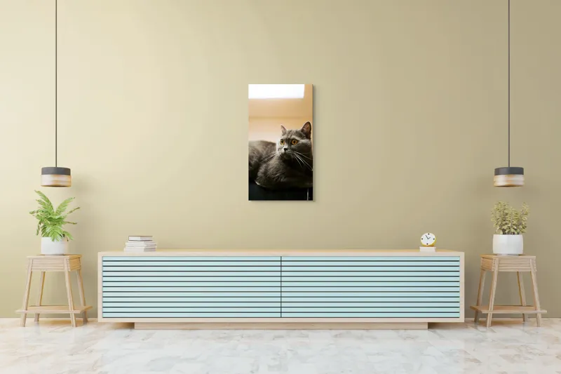 Tablou Canvas, "Pisica gri cu ochi ageri", Pisică, Gri, Privire, Blândă, Relaxată, Obraznică, Blană, Cedelă, Urechi, Ascuțite, 50 x 90 cm – poza 6
