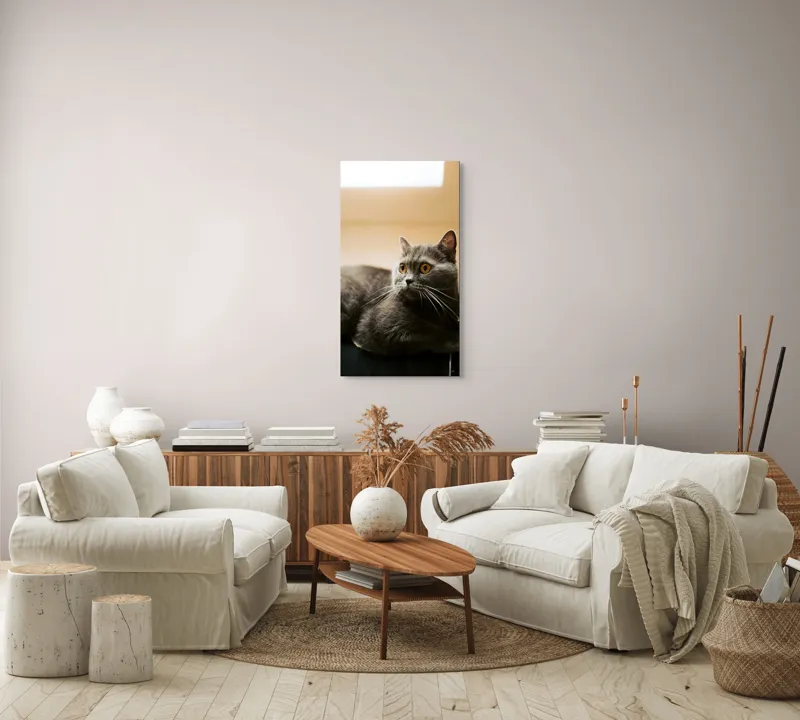 Tablou Canvas, "Pisica gri cu ochi ageri", Pisică, Gri, Privire, Blândă, Relaxată, Obraznică, Blană, Cedelă, Urechi, Ascuțite, 50 x 90 cm – poza 7