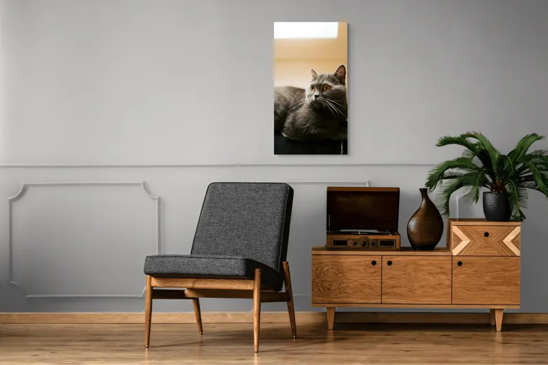Tablou Canvas, "Pisica gri cu ochi ageri", Pisică, Gri, Privire, Blândă, Relaxată, Obraznică, Blană, Cedelă, Urechi, Ascuțite, 50 x 90 cm – poza 8