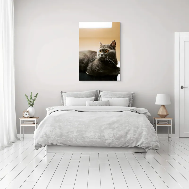 Tablou Canvas, "Pisica gri cu ochi ageri", Pisică, Gri, Privire, Blândă, Relaxată, Obraznică, Blană, Cedelă, Urechi, Ascuțite, 70 x 100 cm – poza 3
