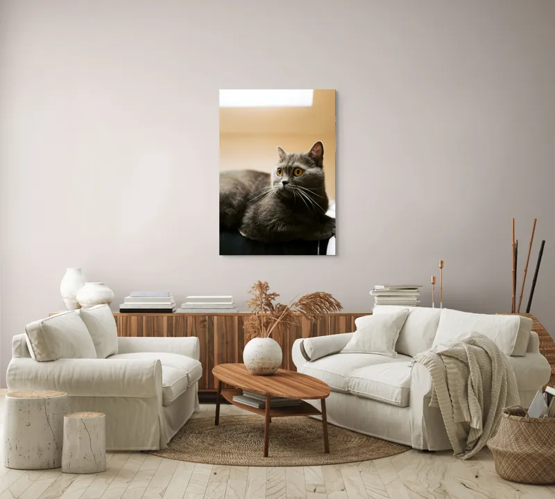 Tablou Canvas, "Pisica gri cu ochi ageri", Pisică, Gri, Privire, Blândă, Relaxată, Obraznică, Blană, Cedelă, Urechi, Ascuțite, 70 x 100 cm – poza 4