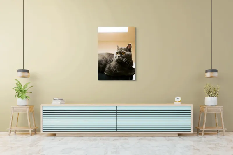 Tablou Canvas, "Pisica gri cu ochi ageri", Pisică, Gri, Privire, Blândă, Relaxată, Obraznică, Blană, Cedelă, Urechi, Ascuțite, 70 x 100 cm – poza 5