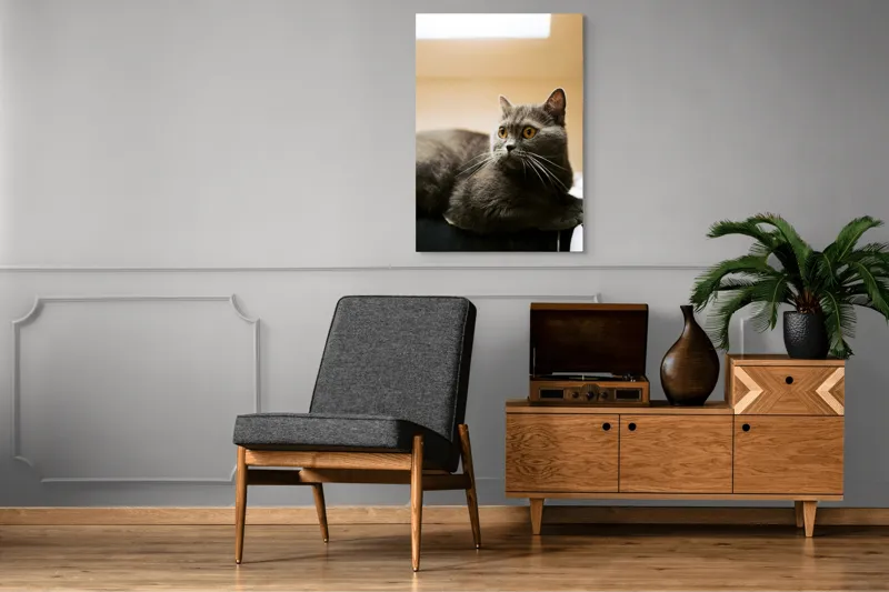 Tablou Canvas, "Pisica gri cu ochi ageri", Pisică, Gri, Privire, Blândă, Relaxată, Obraznică, Blană, Cedelă, Urechi, Ascuțite, 70 x 100 cm – poza 6
