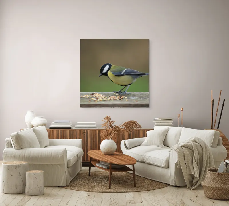 Tablou Canvas, "Mierla savurând semințe gustoase pe masă", Pasăre, Pițigoi, Penaj, Grăunțe, Masa, Natură, Verde, Negru, Alb, Galben, Lemn, Exterioară., 100 x 100 cm – poza 3