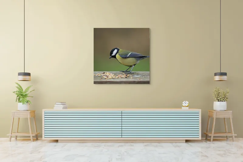 Tablou Canvas, "Mierla savurând semințe gustoase pe masă", Pasăre, Pițigoi, Penaj, Grăunțe, Masa, Natură, Verde, Negru, Alb, Galben, Lemn, Exterioară., 100 x 100 cm – poza 5