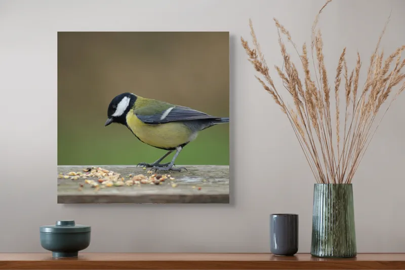 Tablou Canvas, "Mierla savurând semințe gustoase pe masă", Pasăre, Pițigoi, Penaj, Grăunțe, Masa, Natură, Verde, Negru, Alb, Galben, Lemn, Exterioară., 50 x 50 cm – poza 4
