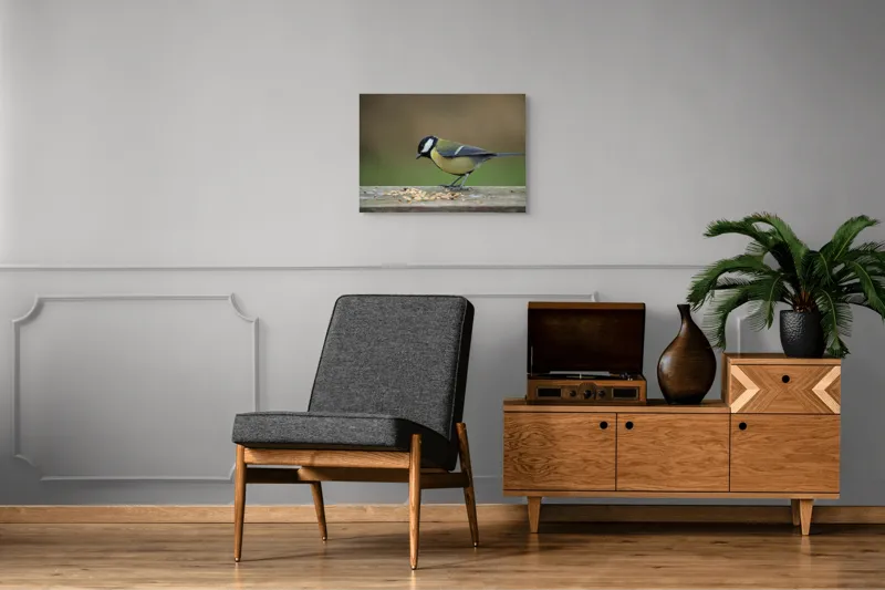 Tablou Canvas, "Mierla savurând semințe gustoase pe masă", Pasăre, Pițigoi, Penaj, Grăunțe, Masa, Natură, Verde, Negru, Alb, Galben, Lemn, Exterioară., 70 x 50 cm – poza 4