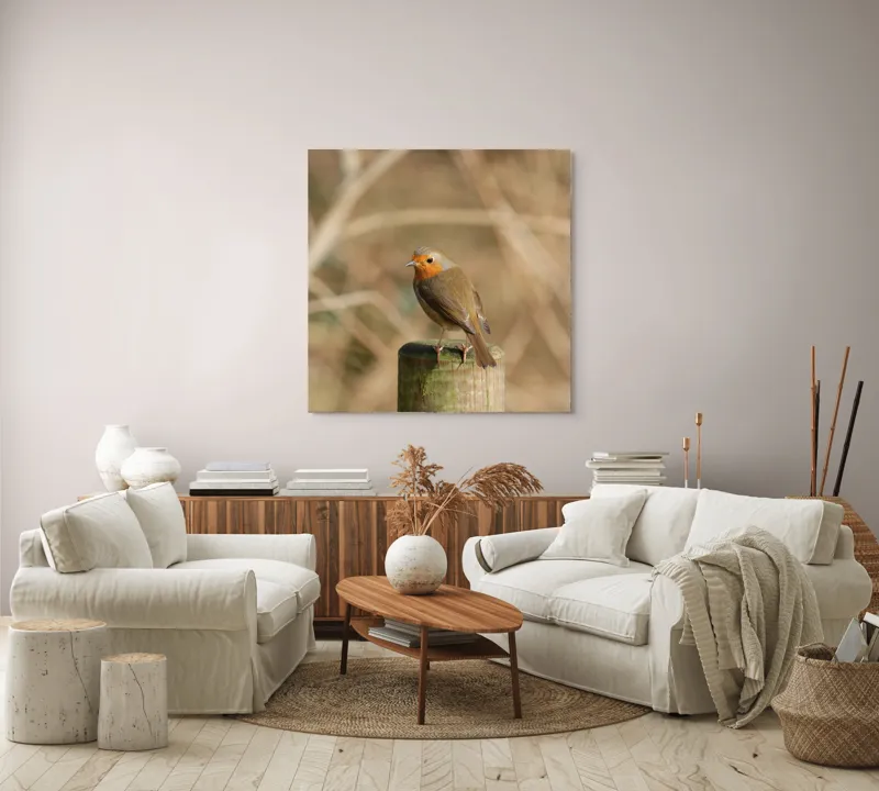 Tablou Canvas, "Ghindă printre crengi uscate", Pitic, Portocaliu, Activ, Delicat, Prudent, Firav, Observator, Solitar, 100 x 100 cm – poza 3