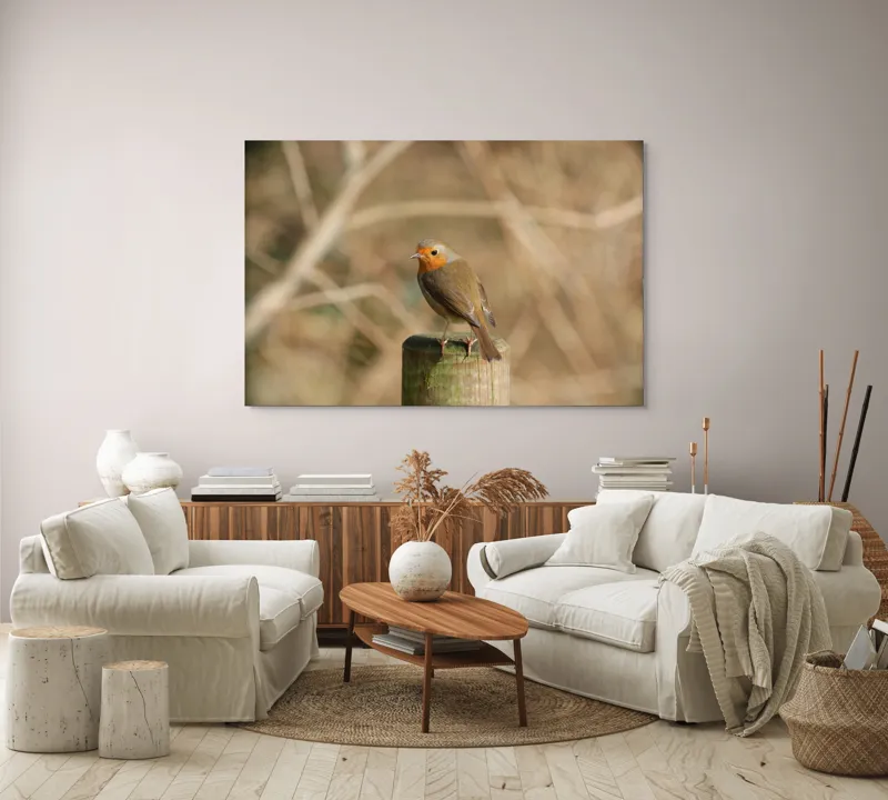 Tablou Canvas, "Ghindă printre crengi uscate", Pitic, Portocaliu, Activ, Delicat, Prudent, Firav, Observator, Solitar, 150 x 100 cm – poza 3