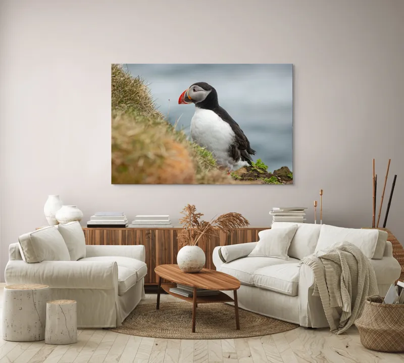 Tablou Canvas, "Papagal de mare pe stâncă verde", Pinguin, Iarbă, Clif, Ocean, Cioc, Aripi, Blană., 150 x 100 cm – poza 3